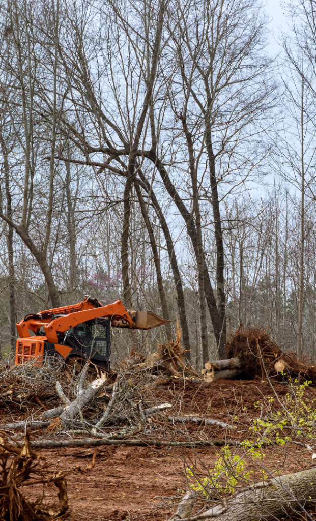 Lot clearing services for a development site in Charlotte, NC.