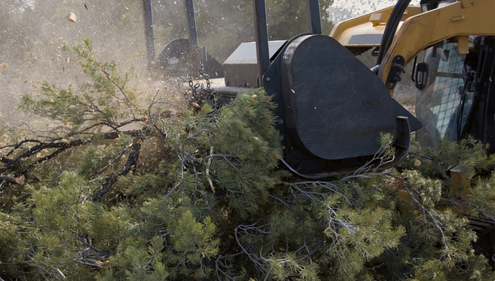 Forestry mulching in Charlotte, NC with advanced equipment.
