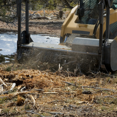 Efficient forestry mulching process in Charlotte, NC.